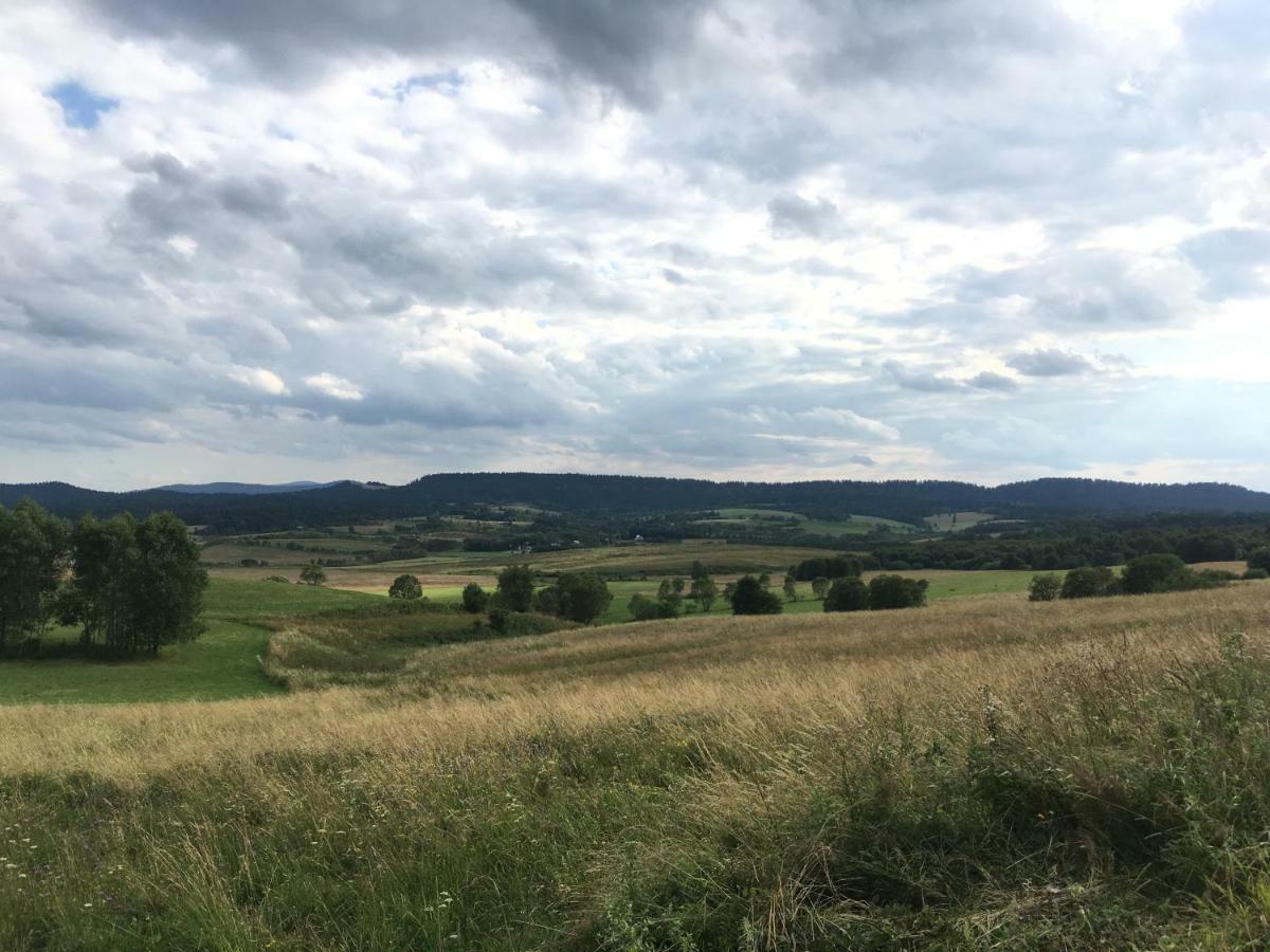 Pokoje U Bozeny I Zbyszka Lipie  Exterior foto