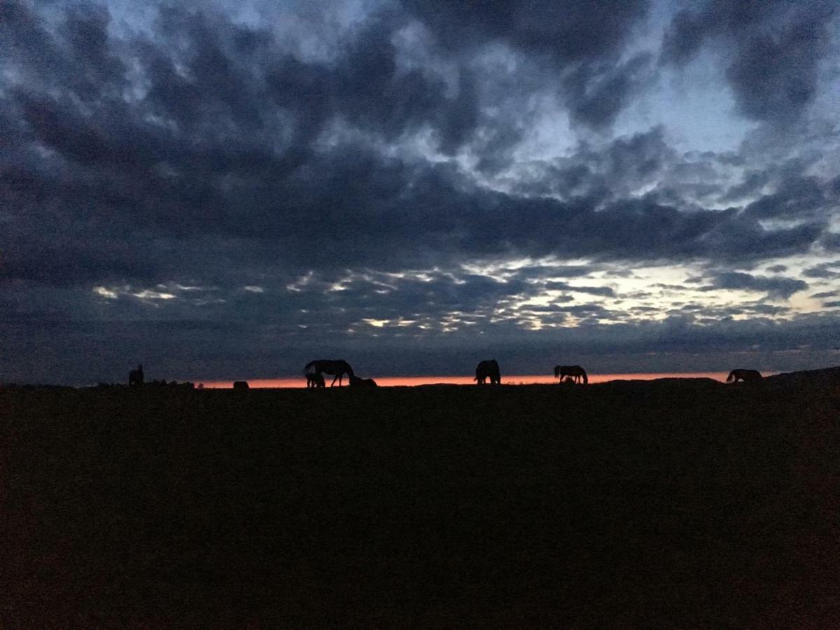 Pokoje U Bozeny I Zbyszka Lipie  Exterior foto