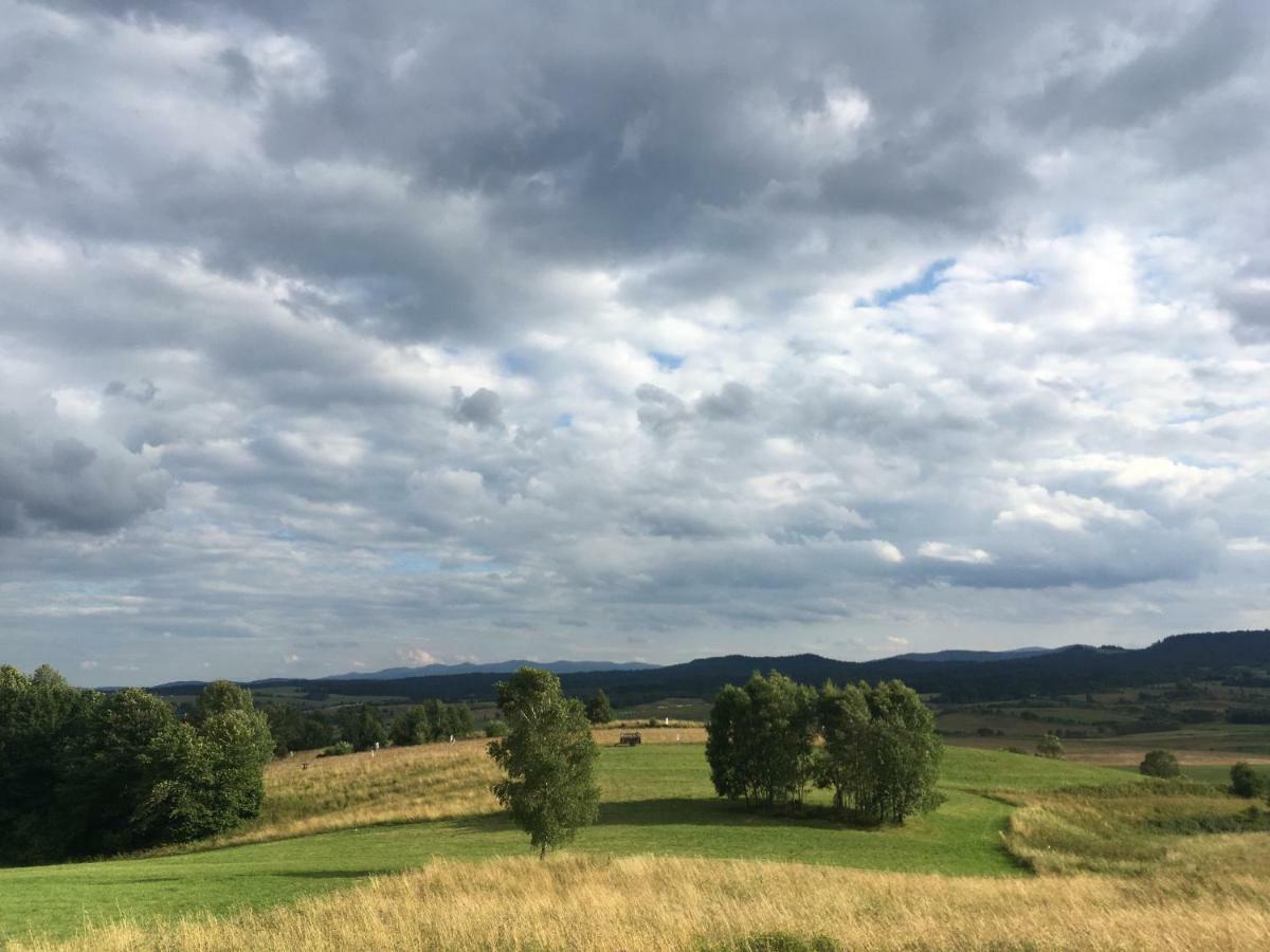 Pokoje U Bozeny I Zbyszka Lipie  Exterior foto